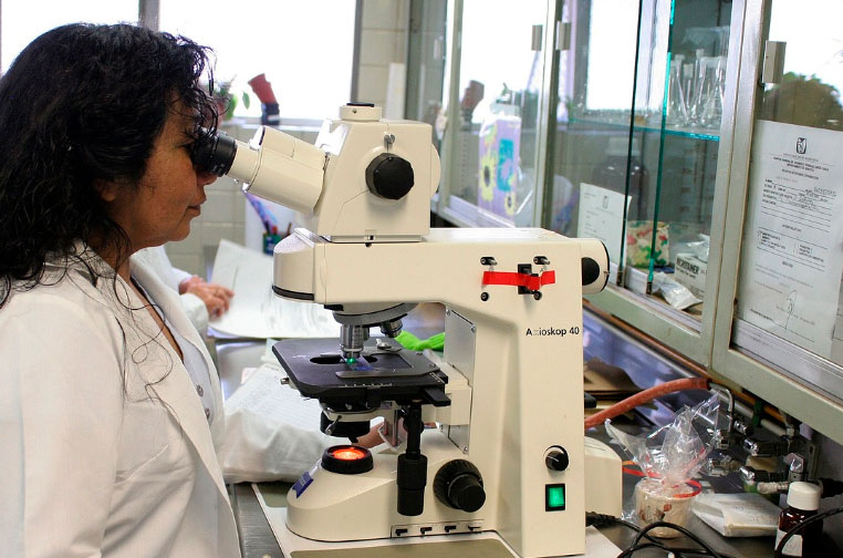La revolución de la medicina personalizada: diagnósticos y tratamientos a medida