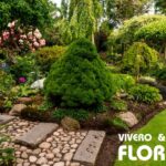 Expertos en paisajismo y jardinería: el compromiso verde de Viveros Florama