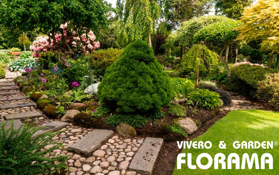 Expertos en paisajismo y jardinería: el compromiso verde de Viveros Florama