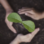 Grupo Tarraco Formación, líder en educación y sostenibilidad ambiental