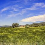 Turismorural.com lanza su lista sobre cuáles son los mejores destinos rurales para el verano de 2025 Turismorural.com lanza su lista sobre cuáles son los mejores destinos rurales para el verano de 2025