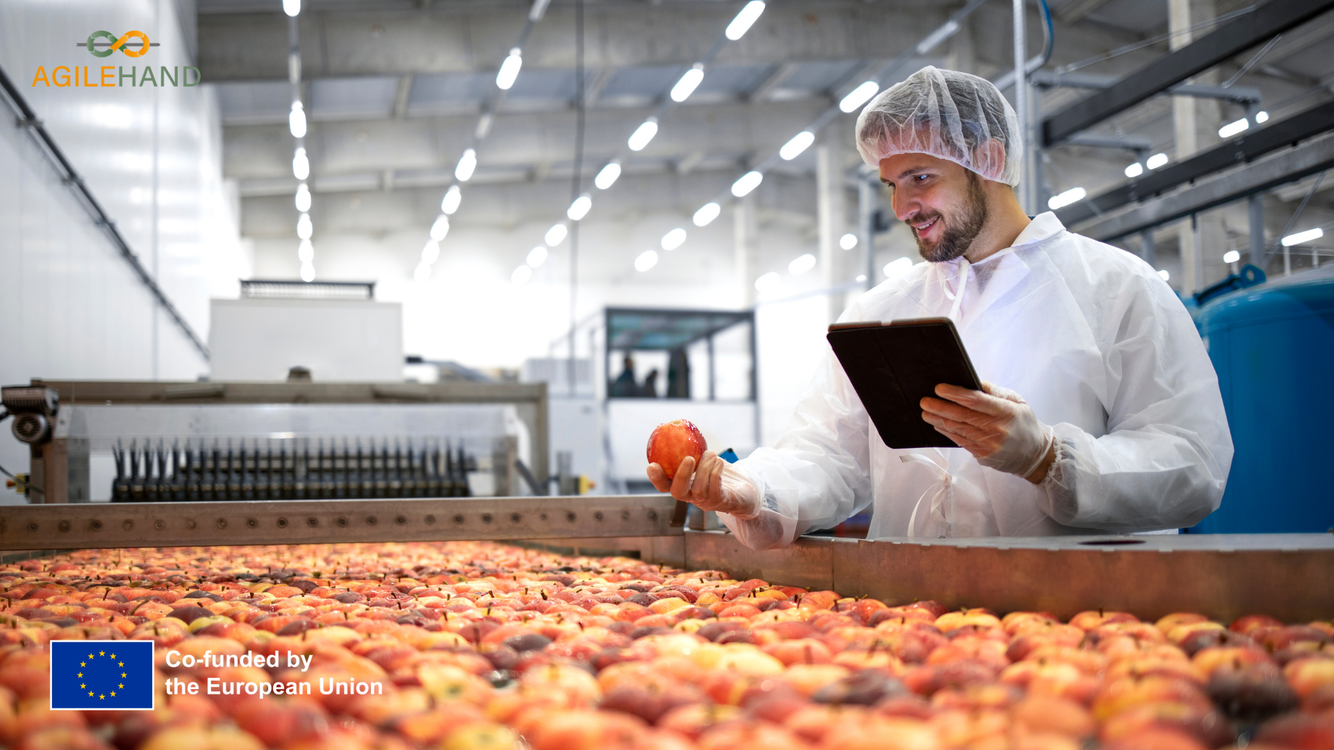 AGILEHAND abre su programa gratuito para que empresas alimenticias accedan a tecnologías robóticas AGILEHAND abre su programa gratuito para que empresas alimenticias accedan a tecnologías robóticas