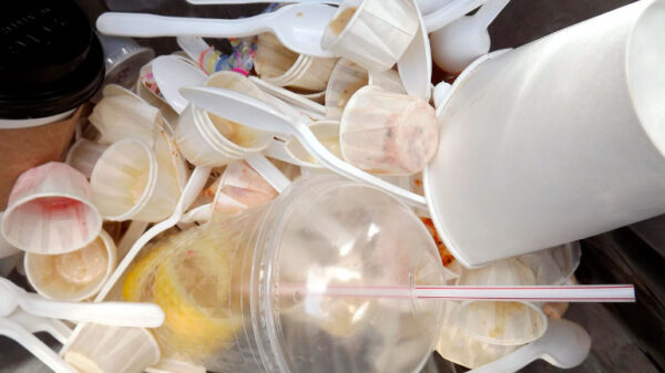 Hay que cambiar urgentemente la mala costumbre de tirar la basura en lugares públicos