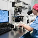 La edad materna no influye en la implantación embrionaria ni en la tasa de nacido vivo tras la transferencia de embriones euploides en ciclos de reproducción asistida