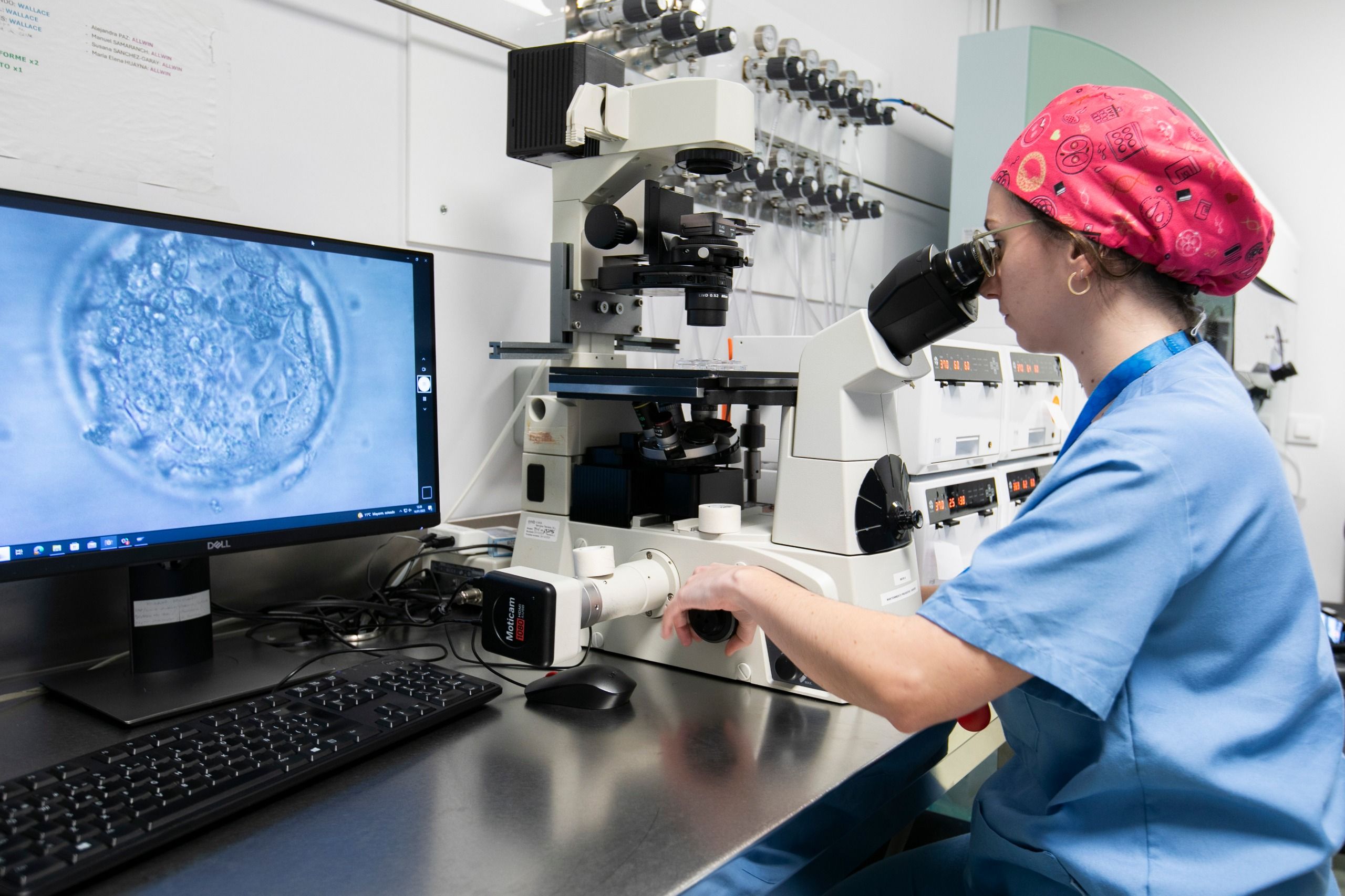 La edad materna no influye en la implantación embrionaria ni en la tasa de nacido vivo tras la transferencia de embriones euploides en ciclos de reproducción asistida