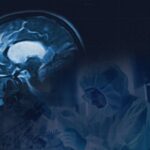 GEN y Sulfateq anuncian resultados positivos en fase 1 del fármaco SUL-238 para el Alzheimer GEN y Sulfateq anuncian resultados positivos en fase 1 del fármaco SUL-238 para el Alzheimer