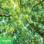 Schneider Electric alcanza el puesto nº 1 del Gartner® Top 25 Supply Chain por tercer año consecutivo