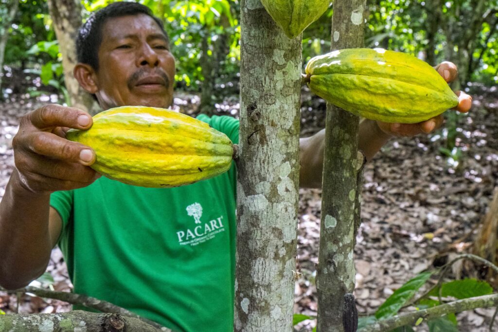 Ecuador se consolida como el destino ideal para los amantes del cacao