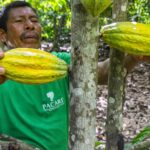 Ecuador se consolida como el destino ideal para los amantes del cacao