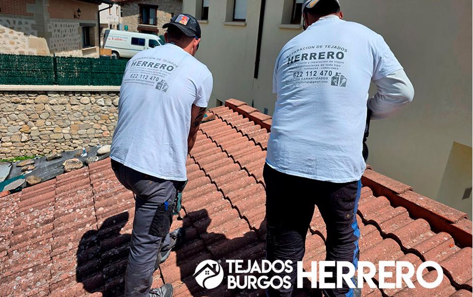 TEJADOS BURGOS HERRERO refuerza su liderazgo en soluciones integrales para cubiertas en Burgos