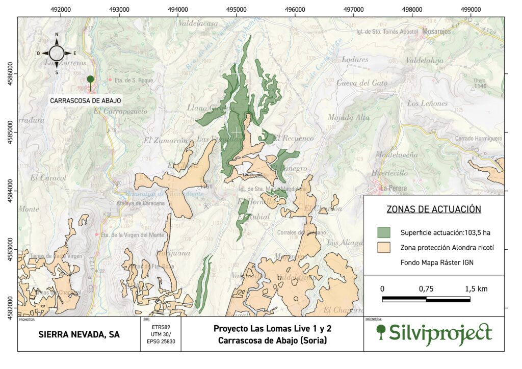 Así será el nuevo bosque de 119 hectáreas en Carrascosa de Abajo (Soria) diseñado con soluciones basadas en la naturaleza