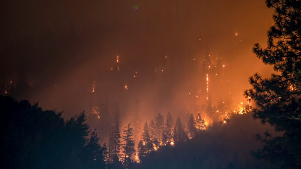Allianz intensifica su protocolo especial ante los incendios que están asolando parte del país