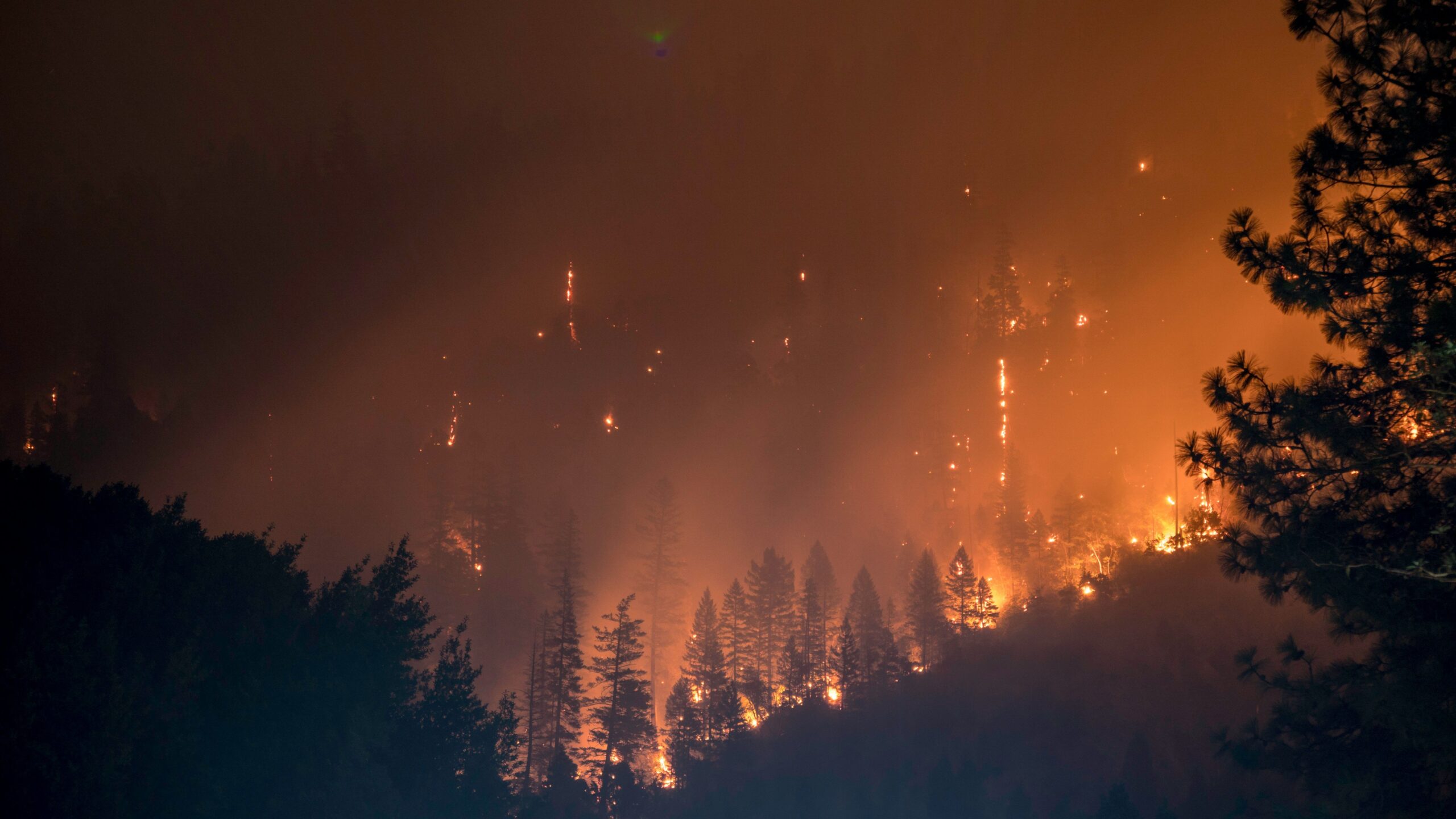 Allianz intensifica su protocolo especial ante los incendios que están asolando parte del país