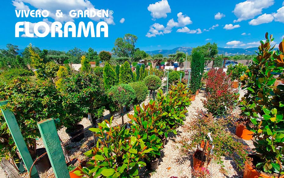 VIVEROS FLORAMA: excelencia y variedad al servicio del jardín