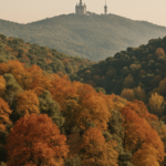 La magia del bosque en otoño llega a Barcelona: The Tiny House Barcelona combina naturaleza y ciudad