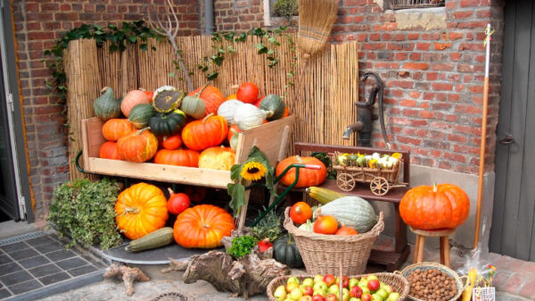 Feliz Halloween, Día del Ahorro, Día del Arroz, Día de las Ciudades, Princesa Leonor, Guti y Abel Matutes