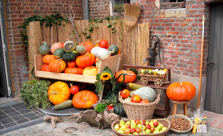 Feliz Halloween, Día del Ahorro, Día del Arroz, Día de las Ciudades, Princesa Leonor, Guti y Abel Matutes Feliz Halloween, Día del Ahorro, Día del Arroz, Día de las Ciudades, Princesa Leonor, Guti y Abel Matutes