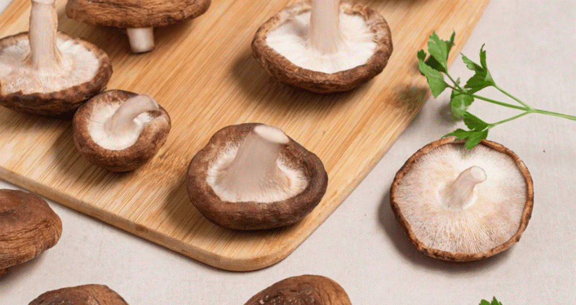 ‘Champiñones y setas europeas’, un ingrediente, infinitas posibilidades