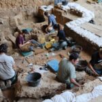 Los caballos más antiguos del linaje ibérico salen a la luz en las excavaciones de La Malia en Tamajón