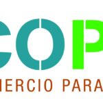 Más del 56% de España es bosque, pero su madera sigue desaprovechada