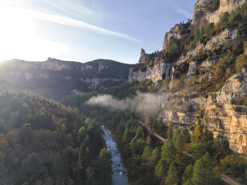 COPADE cierra con éxito Bosque Innova en el Alto Tajo, impulsando la economía local y la conservación forestal