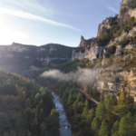 COPADE cierra con éxito Bosque Innova en el Alto Tajo, impulsando la economía local y la conservación forestal