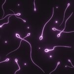 Dra. Miren Mandiola, directora del Laboratorio de Reproducción Asistida del Hospital de Día Quirónsalud Donostia: “Los donantes de semen tienen muchos más estudios realizados que cualquier pareja en un embarazo natural”