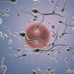Dra. Miren Mandiola, directora del Laboratorio de Reproducción Asistida del Hospital de Día Quirónsalud Donostia: “Preservar la fertilidad permite a la mujer conciliar maternidad y proyectos personales”