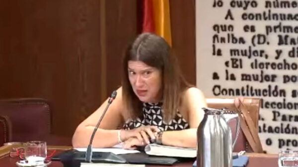 Conmoción en PSOE por detención de la fontanera Leire Díez y Vicente Fernández, expresidente de SEPI
