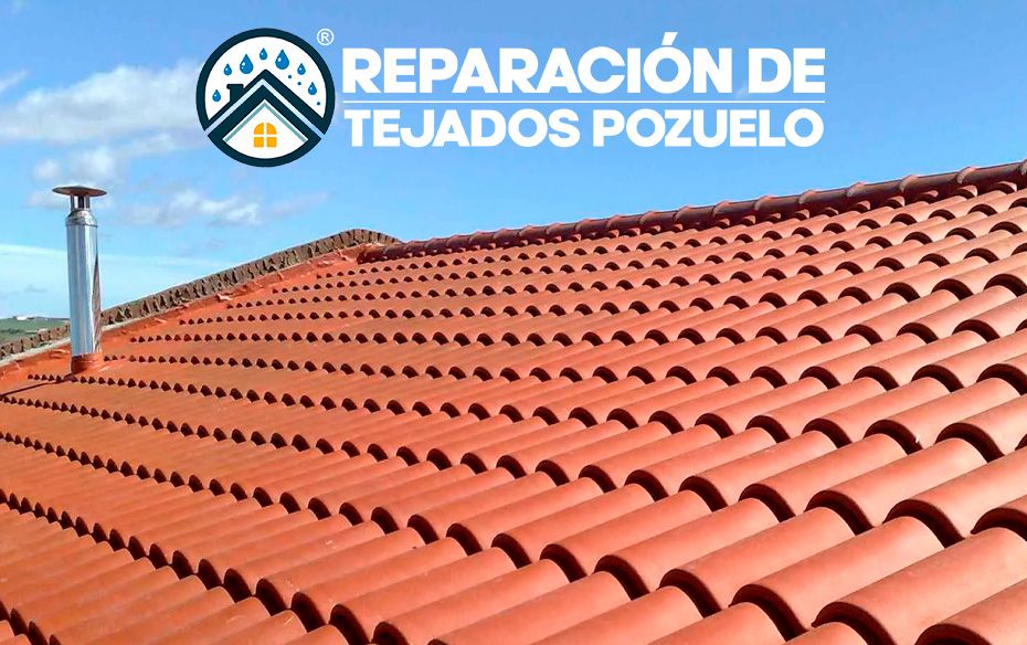 Tejados Pozuelo refuerza su liderazgo en soluciones duraderas para cubiertas en Madrid oeste