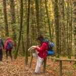 Navarra apuesta por el turismo regenerativo, una iniciativa pionera en España Navarra apuesta por el turismo regenerativo, una iniciativa pionera en España