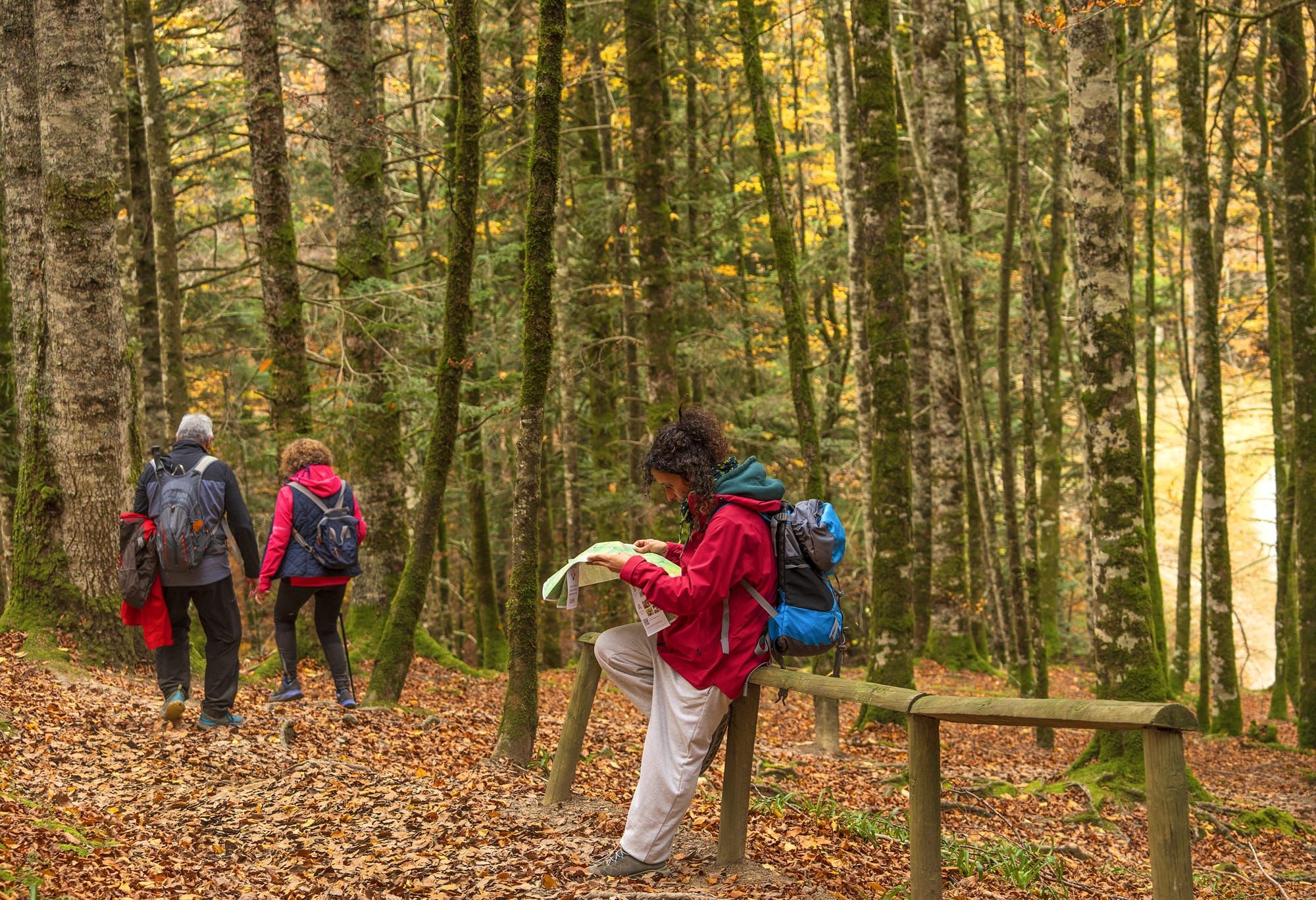 Navarra apuesta por el turismo regenerativo, una iniciativa pionera en España