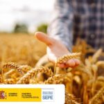 Top 3 competencias clave que adquirir en 2026 para el sector agrario Top 3 competencias clave que adquirir en 2026 para el sector agrario