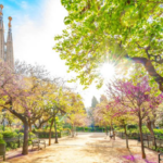 Copisa avanza sus obras: entorno de la Sagrada Família, CAP de Castelldefels y Escuela Les Filadores