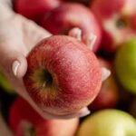 La manzana europea como hilo conductor: energía natural desde el desayuno hasta la cena