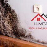 HUMESTOP consolida su referencia técnica en la erradicación definitiva de humedades estructurales en viviendas y edificios
