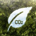 Nueva obligación para grandes empresas: el cálculo de la huella de carbono