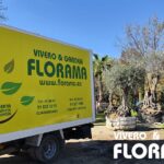 Viveros Florama: liderazgo en árboles de gran porte para paisajismo de alto impacto
