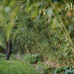 Alnus Paisajistas consolida su trayectoria como estudio de paisajismo sostenible en Madrid