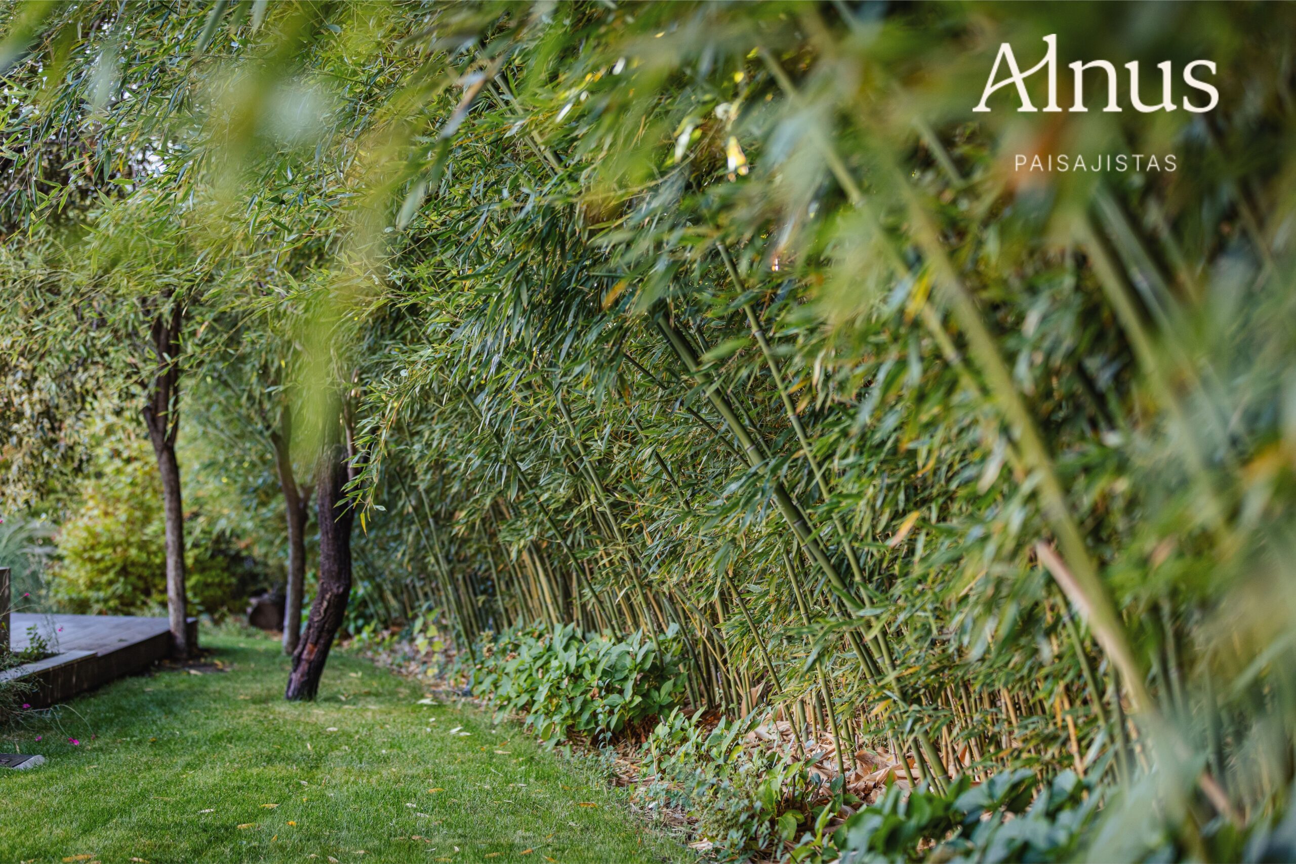Alnus Paisajistas consolida su trayectoria como estudio de paisajismo sostenible en Madrid