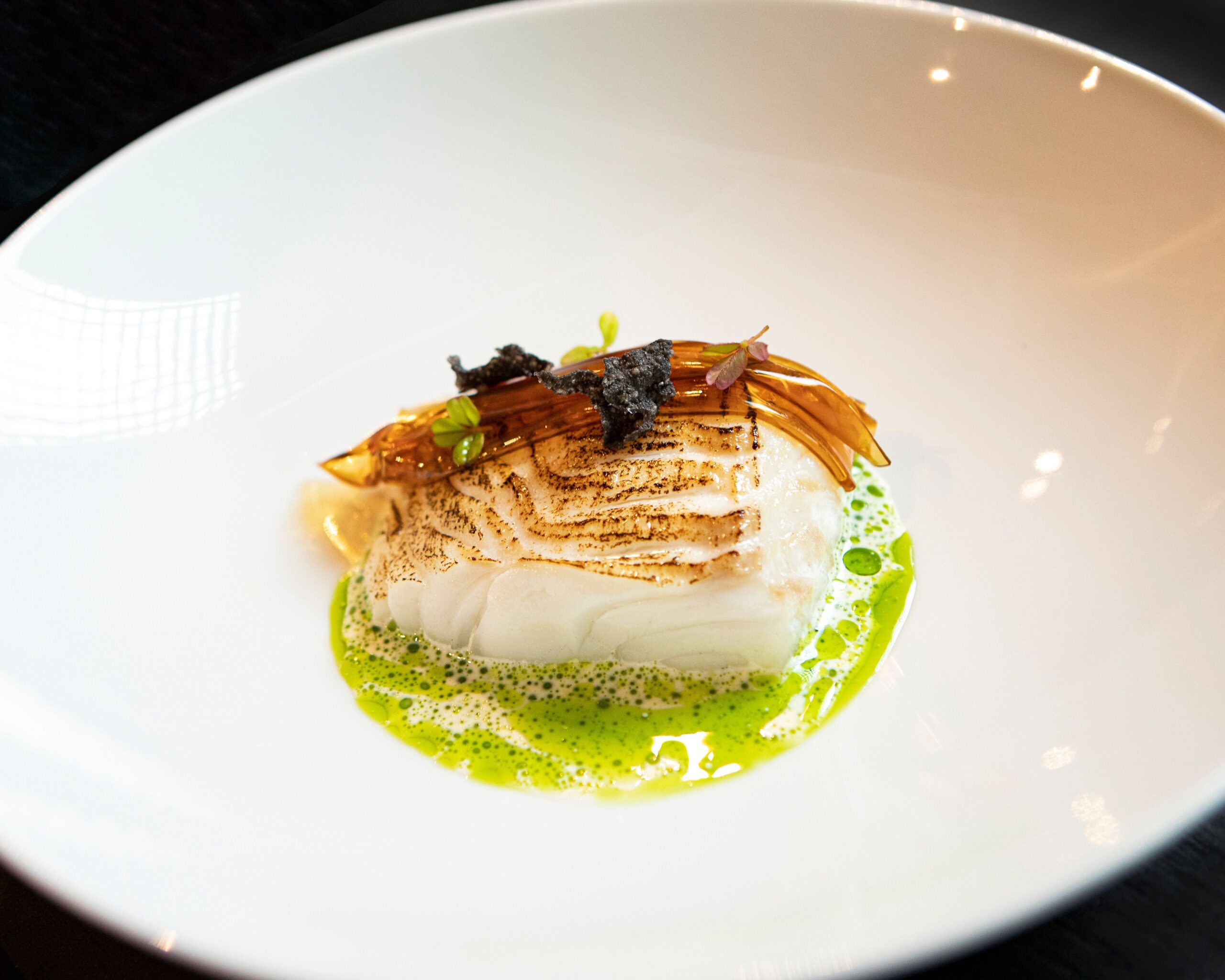 El Gran Viaje del Norte: arranca la ansiada temporada del bacalao Skrei, la joya nómada de Noruega 