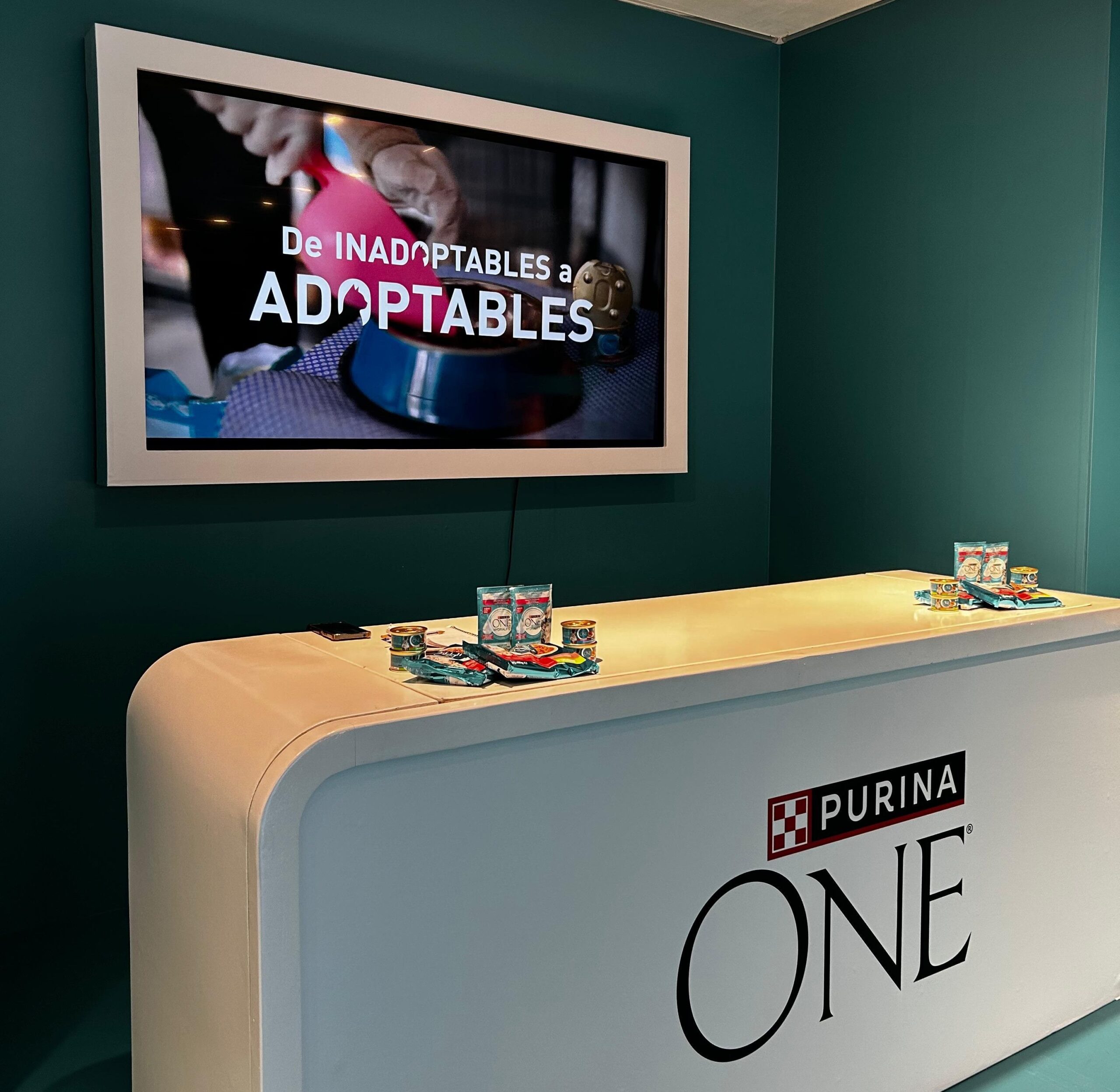 Inadoptables, la nueva campaña de Purina ONE para concienciar sobre cómo los sesgos afectan en la adopción animal