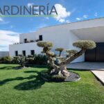 Mantenimiento de jardines con La Tierra Jardinería: clave para espacios verdes duraderos Mantenimiento de jardines con La Tierra Jardinería: clave para espacios verdes duraderos
