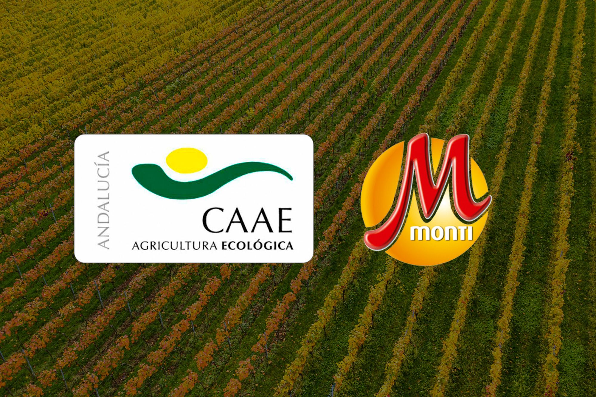 Productos Monti renueva el certificado ecológico del CAAE y mantiene su producción bajo estándares sostenibles