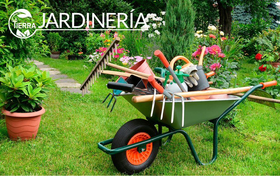 Mantenimiento de jardines 360°: La Tierra Jardinería garantiza espacios perfectos durante todas las estaciones del año