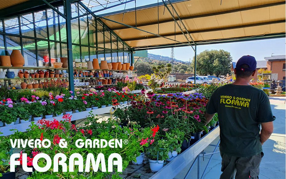 Cómo salvar el jardín del estrés térmico: las pautas esenciales de Viveros Florama
