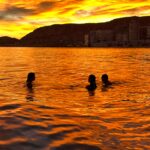 Delfinautica impulsa en Alicante una escuela náutica de formación real, seguridad y experiencias en el mar