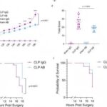 Cloud-Clone respalda un innovador estudio sobre sepsis publicado en Nature Communications mediante el análisis de la procalcitonina truncada