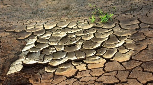 Día de Lucha contra la Desertificación y la Sequía, Paul McCartney, Ana Duato, y María Teresa Campos