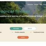 My Tropical Timber, plataforma de ATIBT para profesionales de madera tropical, logra un inicio prometedor